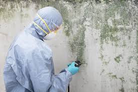 Best Mold Remediation for Healthcare Facilities  in Milaca, MN